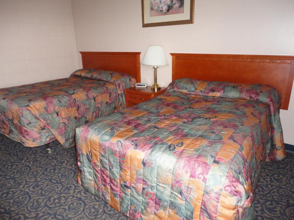 Matador Motel Drayton Valley Kamer foto